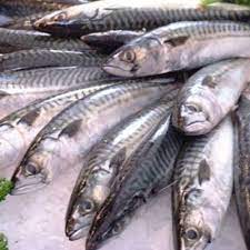 © © all rights reserved. Senarai Barang Wajib Jual Di Kedai Runcit