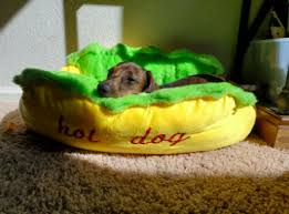 Here are our top choices for the best dog you can buy them in novelty designs: 20 Of The Best Dog Beds You Can Get On Amazon