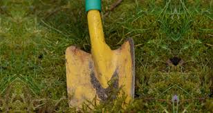 Es soll nicht so sein, dass es auf einmal für meine mutter einnahmen aus vermietung sind und die das noch irgendwie versteuern muss. Gartennutzung Inklusive Darauf Sollten Sie Im Mietvertrag Unbedingt Achten Focus De