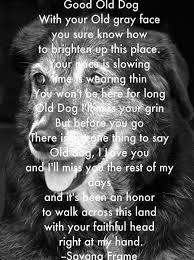Beautiful Poem About Old Dogs Those Grey Faces Are Some Of The Wisest Wednesdaywisdom Old Dogs Dog Quotes Dog Love