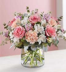 Check spelling or type a new query. Blushing Blooms Bouquet Green Grove Fruit Flower