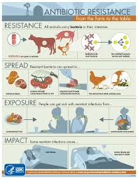 Antibiotic Resistance In Livestock Resistencia A Antibioticos Bacteriologia Microbiologia