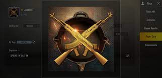 What Did I Exactly Achieve To Get This Avatar Pubgmobile