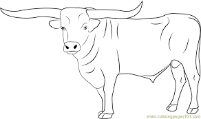 A bull is an intact (i.e., not castrated) adult male of the species bos taurus. Bull Coloring Page For Kids Free Bull Printable Coloring Pages Online For Kids Coloringpages101 Com Coloring Pages For Kids