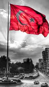 Bayraklari Bayrak Yapan Ustundeki Kandir Dalgalan Sen Sanli Bayragim Hainlere Zalimlere Inat Acilar Yuregimizde Bizi Biz Yapan Vatan Resimler Resim Turkler