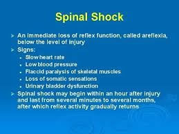 Image result for Spinal Shock