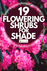 Low flowering shrubs for shade. 19 Flowering Shrubs For Shade Garden Tabs