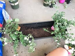 Wheelbarrow planter made out of pallet wood. Full And Colorful Summer Window Boxes Full Sun Jordan Jean
