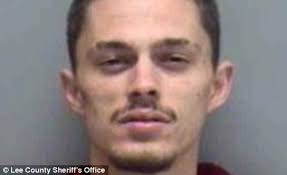 Truesee's Daily Wonder