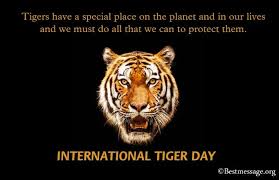 Happy mother's day greeting animation background video. International Tiger Day Messages Quotes Slogans 29 July