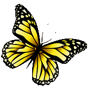 What are the colors of a butterfly? Butterfly Coloring Pages Free Printable Pictures For Kids