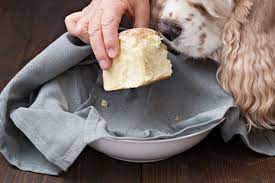 Can Dogs Eat Bread American Kennel Club In 2021 Dog Food Recipes Dog Bread Dog Eating