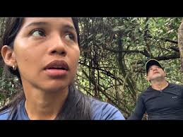 Ceva de pombas carijo e juriti