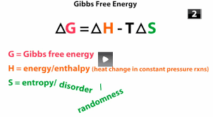 Equilibria, ∆g, ∆h and ∆s. Lecture 3 5 Biochemistry You Ll Remember Quizlet