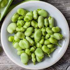 Ajaib tapi nyata, manusia kawin dengan kuda. Bio Biji Luas Benih Organik Yang Disahkan Kacang Fava Kacang Kuda Vicia Faba L Garden Seeds Market Penghantaran Percuma