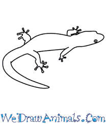 How To Draw A Lizard How to draw a lizard step by step easy for beginners/kids. how to draw a lizard