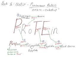 Style la nota ni :3. Bijak Tekun Nota Kreatif Biologi Tingkatan 4 Bab 6