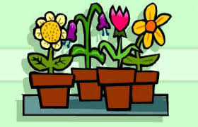 Facts about flowers for kids. Bbc Gardening Gardening Guides Gardening With Children Flowers