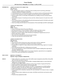 Also responsible for duties outlined below as well as other duties as assigned. Assistant Executive Resume Samples Velvet Jobs