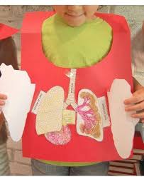Prepare flashcards of the parts of the body used in the song. 30 Body Parts Art And Craft For Preschool Aluno On