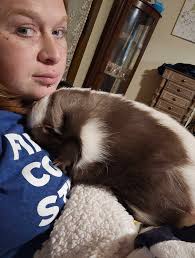 Did you know skunks make great pets? And they don't stink! #skunk #skunks  #skunksofinstagram #skunkspray #skunkstripehair #skunk2 #exoticpets  #exoticanimals #exotic #newjersey #nj #bergencounty #morriscounty #animals  #pet #pets #love #followback ...