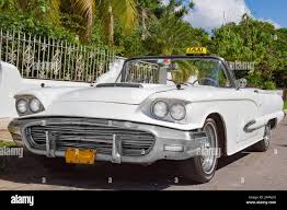 Image result for Old English White 1992 Taxi