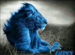 Browse 2,637 los angeles rams v detroit lions stock photos and images available, or start a new search to explore more stock photos and images. Pin By Michele Mcgrath On Sports Detroit Lions Football Detroit Lions Detroit