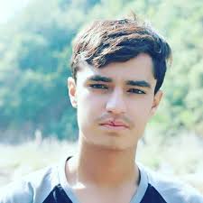 Rustic wooden bunk bed with stairs design