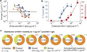 A primary infection with hsv is often. Igg In Cervicovaginal Mucus Traps Hsv And Prevents Vaginal Herpes Infections Mucosal Immunology