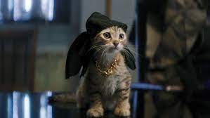 Keanu movie reviews & metacritic score: Keanu Kitten How A Cat In A Hat Was Trained To Act For Key And Peele S Movie The Hollywood Reporter