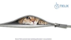 It takes just a few days for this to be fatal for your cat. Telix Pharma On Twitter We Are Pleased To Announce A First Patient Has Been Dosed In A Ph I Study Of Tlx250 Cdx In Patients With Bladdercancer Zip Up Is The First In A