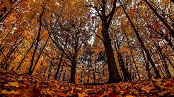 The official start to the fall season is fast approaching