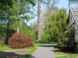 Wer schon einmal im botanischen garten war, weiß dass dieser eines der besten orte zum abschalten und entspannen in gießen ist. Botanischer Garten Giessen In Giessen Holidaycheck