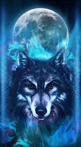 Free wolf wallpaper phone â« long wallpapers. 240 Wolf Wallpaper Ideas Wolf Wolf Wallpaper Wolf Spirit