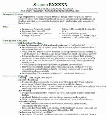 Sql Database Developer Resume Example Developer Resumes Livecareer