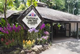 See more of national orchid garden, singapore 新加坡国家胡姬园 on facebook. Singapore Must Visit Botanic Gardens National Orchid Garden A Unesco Site Chris Travel Blog Ctb Global