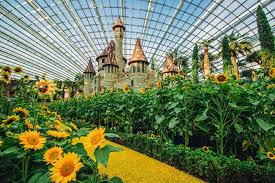 Gardens by the bay admission prices can vary. Alluring Sunflowers On Display At Gardens By The Bay Until October 21 Connected To India