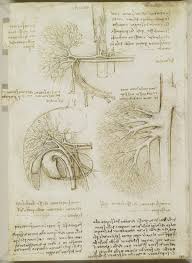 Leonardo Da Vinci The Man Who Wanted To Know Everything Body Maps Leonardo Da Vinci S Anatomical Drawings Flashbak In 2020 Leonardo Da Vinci Leonardo Human Mechanics