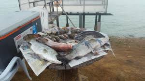 Negeri perak sudah pastinya merupakan salah sebuah negeri yang kaya dengan budaya, makanan, dan tarikannya yang tersendiri yang menjadi identiti bagi negeri tersebut. Interesting Places In Malaysia Tempat Percutian Perak Memancing