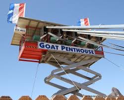 Download free books in pdf format. Rooster Cogburn Ostrich Ranch Ranch Pecos Family Fun
