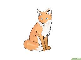 4 Ways To Draw A Fox Wikihow Fuchs Zeichnen Cartoon Zeichnungen Zeichnung Zeichentrickfiguren Schauen sie mal diese anleitung und probieren sie selber. 4 ways to draw a fox wikihow fuchs