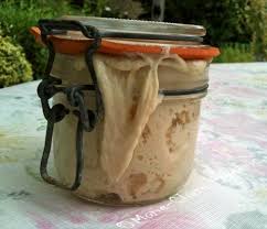 Comment Entretenir Le Levain Chef Pour Le Garder Longtemps Ni Cru Ni Cuit Levain Ni Cru Ni Cuit Recettes Au Levain