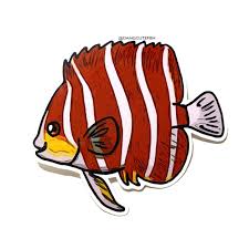 Glossy Coated Vinyl Stickers 1 Great Gift For An Aquarist Ocean Lover Or Any Fan Of Rare Marine Fish By Dangcutefi Vinyl Sticker Ocean Lover Marine Fish