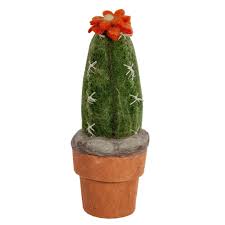 A san pedro cactus faq. Mini San Pedro Felt Cactus Fair Trade Winds