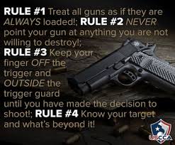 Image result for Gun Safety