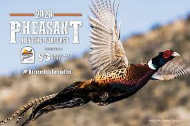 Fish species include bass and catfish. Idaho Pheasant Hunting Forecast 2020