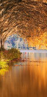 Pin On Iphone Wallpapers