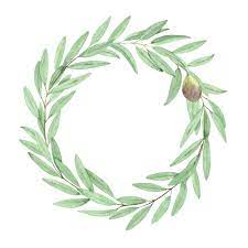 Watercolor Olive Clipart Wreaths And Single Elements Olive Branches Greenery Foliage Wreaths Png Wreath Watercolor Olive Branch Botanical Watercolor