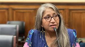 Fundraiser for Anne WhiteHat by Helena del Pesco : Support Anne White Hat's  Back Surgery & Recovery