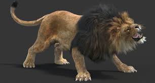 Fanimated Lion 3d Model 3ds Max Animation Cgi Promax3d 3d Model Lion Animation